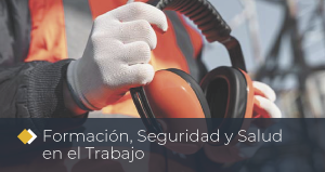 Formación, Seguridad y Salud en el Trabajo